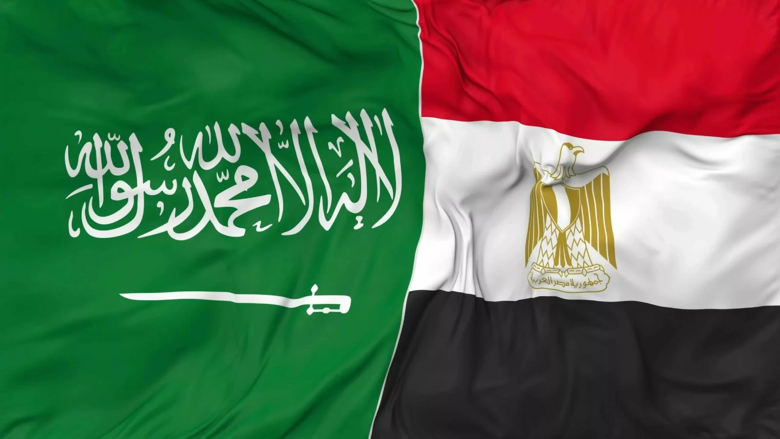 السعودية تعترض طائرات مسيرة قادمة من العراق ومصر تؤكد دعمها الكامل للرياض