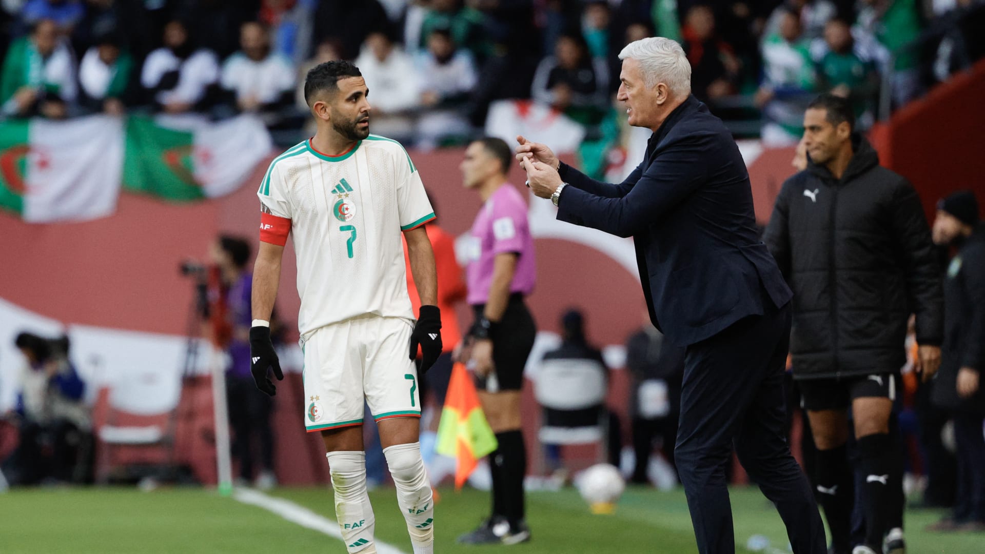 الاتحاد الجزائري يمدد عقد مدرب المنتخب بيتكوفيتش حتى 2028